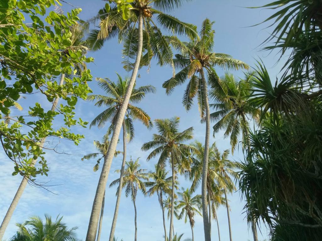 Puri Saron Senggigi Hotel Exteriér fotografie