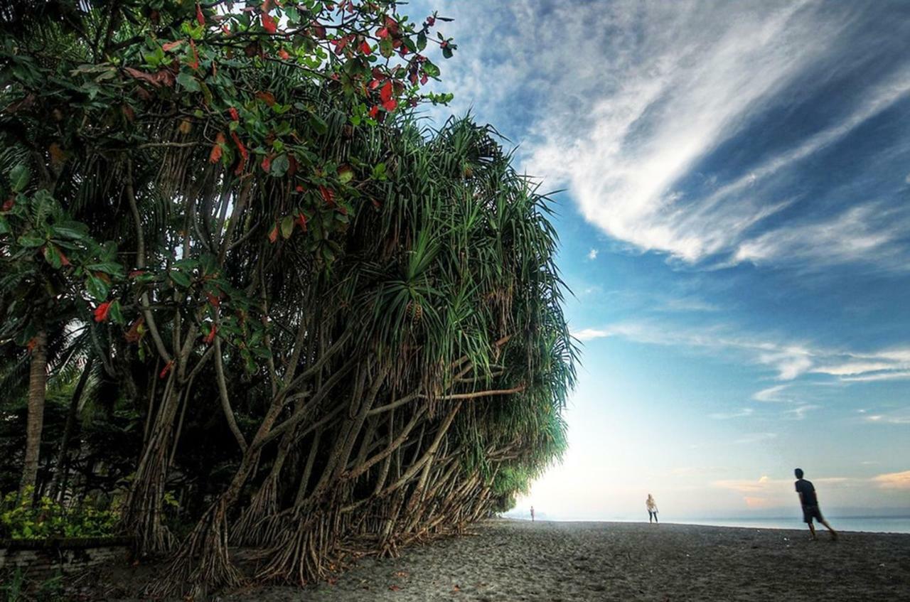 Puri Saron Senggigi Hotel Exteriér fotografie